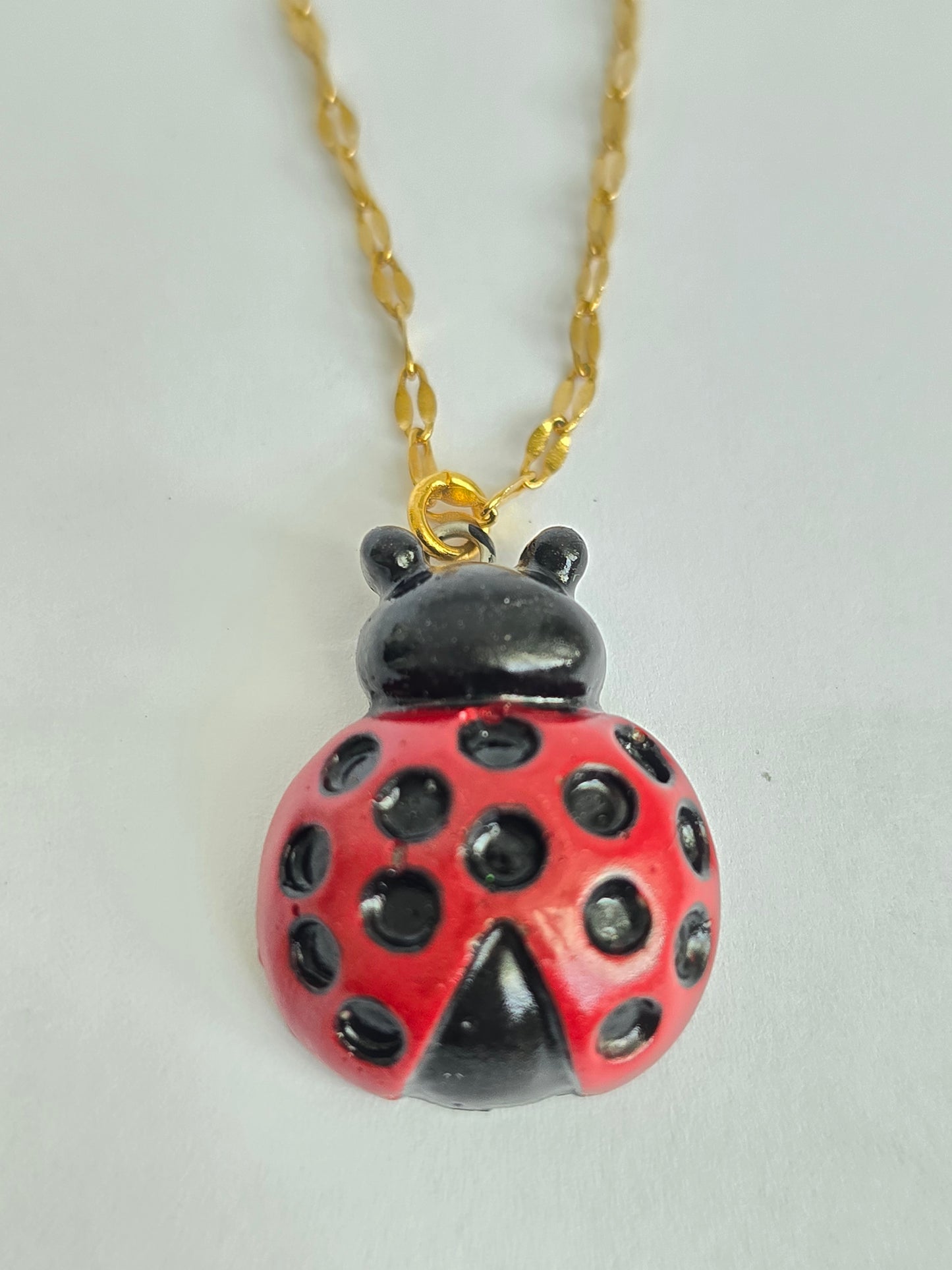 Ladybug 🐞