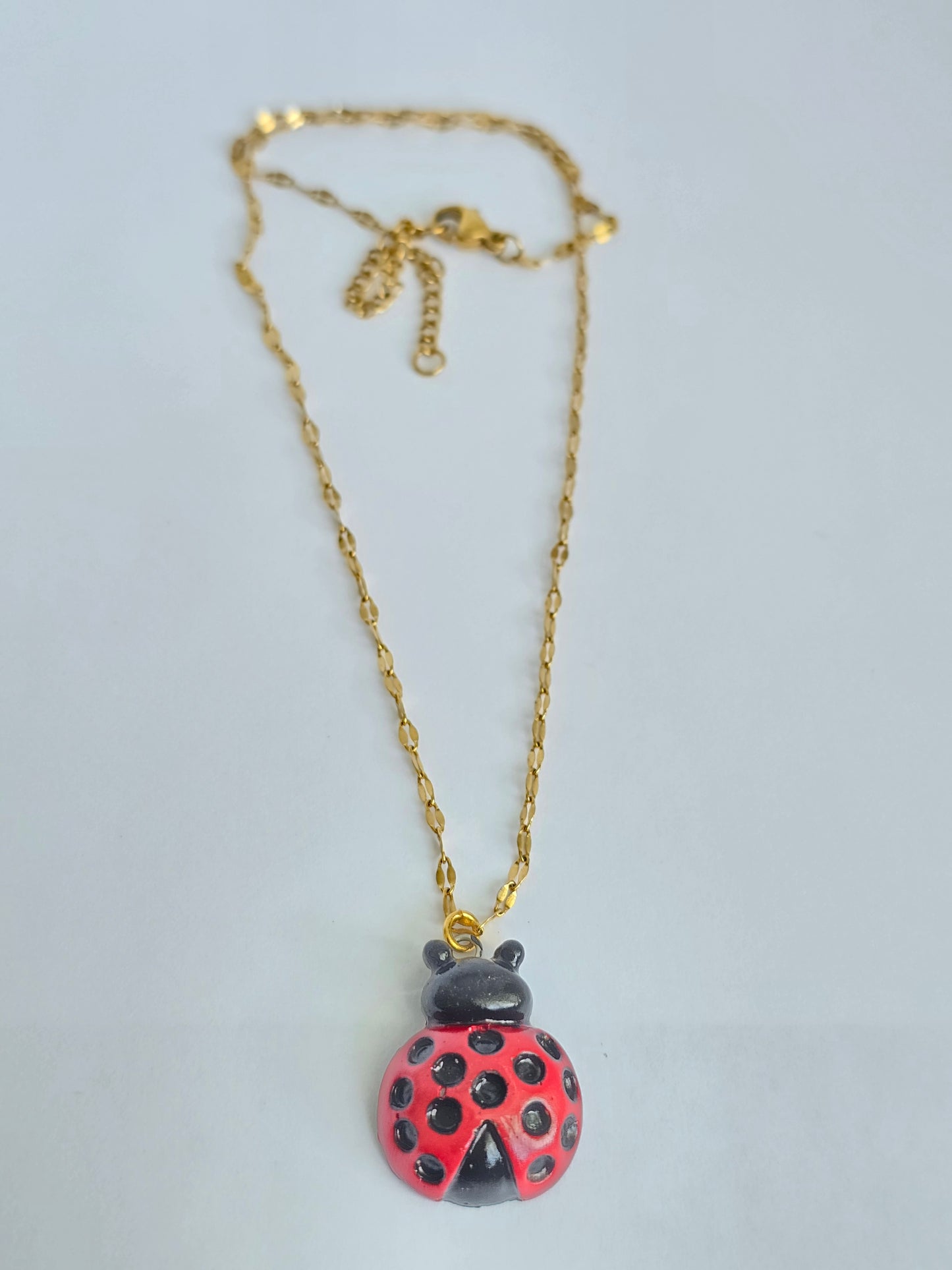 Ladybug 🐞
