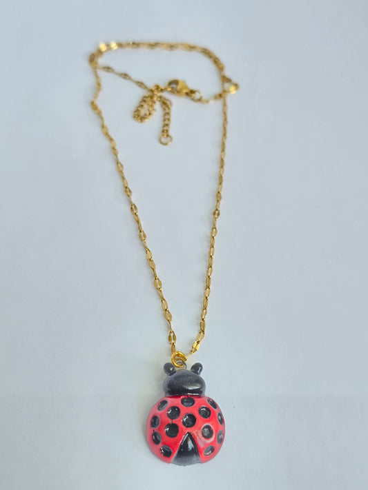 Ladybug 🐞